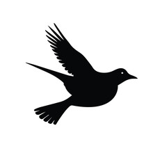 Bird silhouette in flight against a plain background. Bird in motion with wings spread wide, against a plain backdrop. Generic bird silhouette, no specific location -