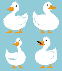 A set of Cute cartoon white duck isolated on blue background, color, vector illustration