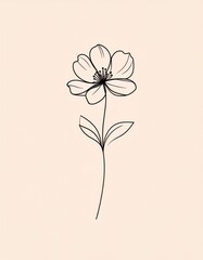 Minimalist black line sketch of flower, details of pistil and stamens. aesthetic background