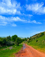 road in the countryside