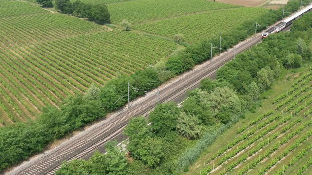 A train speeds through the lush Italian landscape, aerial video. Long, multi-car passenger train stretching across the frame. The train moves between rows of grape vines.