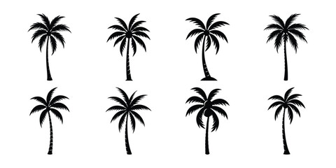 Fototapeta premium set of palm coconut tree vector on white background