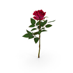 Obraz premium Single Red Rose with Green Leaves Isolated on Transparent Background