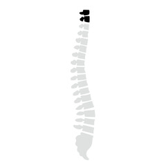 Spinal fracture vector illustration