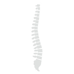 Spinal fracture vector illustration