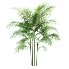 Lush green palm tree with vibrant leaves showcasing nature's beauty and vitality.