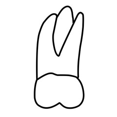 icon vector teeth chart