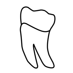 icon vector teeth chart