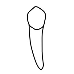 icon vector teeth chart