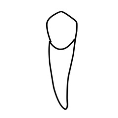 icon vector teeth chart