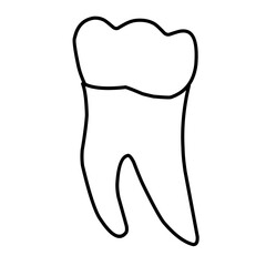 icon vector teeth chart