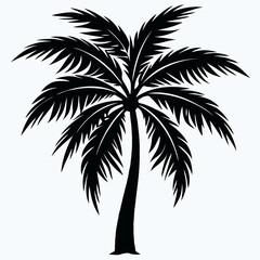 coconut tree silhouette on white background