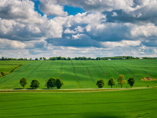 Aerial landscape of the green fields in northern Poland at spring time.