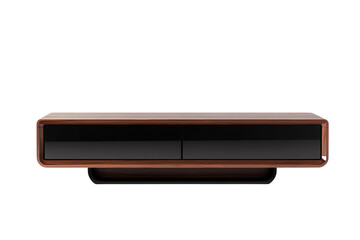 Mid-century modern low-profile media console with two doors