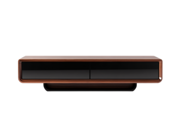 Mid-century modern low-profile media console with two doors