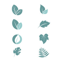 Leaf Icon Set – Minimalist Nature Logo Collection