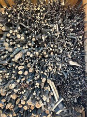 Firewood in the woodshed, preparation for the heating season in the village. Warm, brown colors, rustic style