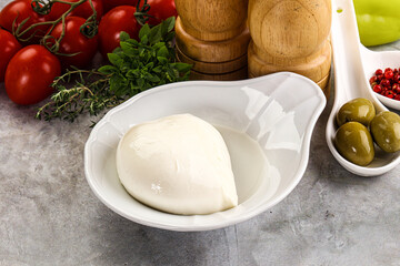 Gurmet organic mozzatla dairy cheese