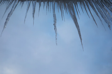 Icicles against a Clear Blue Winter Sky: Sharp Crystal Structures in a Calm Frozen Landscape