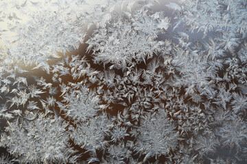 Intricate Frost Patterns on Window Glass Captured in Winter