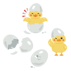 羽化したアヒルのヒナのイラストセット
