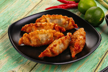 Asian fried stuffed dumplings gyoza