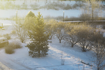 Winter Morning Scene with Snow-covered Park and Trees