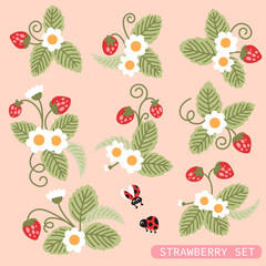 Strawberry branches arrangement vector set