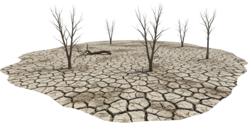 Dry Cracked Earth Barren Landscape with Dead Trees Drought Stricken Land Environmental Crisis Image
