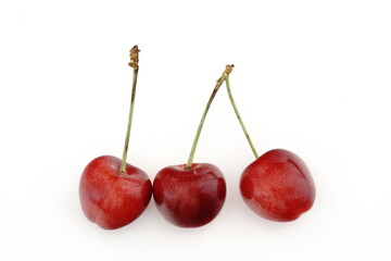 赤いさくらんぼ 静御前　山形県産