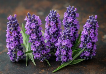 Fototapeta premium A bouquet of lavender flowers on the table.