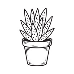 Aloe Vera Pot Icon In Black Line Art vector illustration