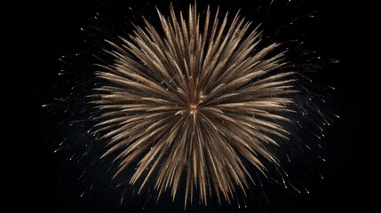 Obraz premium Golden bloom: Night sky bursts with starburst of celebratory fireworks