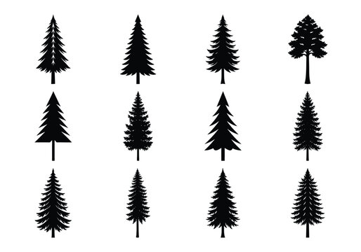 set of silhouettes of trees on white background. Holyday and christmas tree bundle