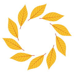 Round frame with autumn leaves. Yellow leaves arranged in a circular pattern celebrating the autumn season and natures beauty.