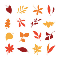 A set of different colorful autumn leaves, isolated on white, vector illustration, flat design. A botanical element for decoration, design, decor, and poster. Flying dry foliage of plants, silhouette