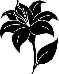 black and white flower