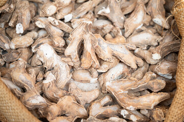 Ginger root heap, spice market stall in India, spicy food ingredient for sale
