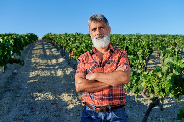 Fototapeta na wymiar Winemaker posing with crossed arms in beautiful vineyard during sunny day
