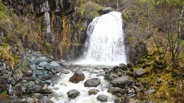 Korbu waterfall near Teletskoye lake in Altai Russia. Powerful stream of water falling from cliff surrounded by wild forest
