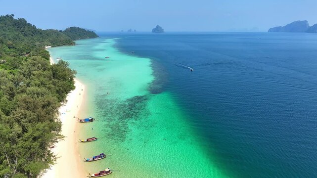 Aerail view of green forest island and the sea. natural ecosystems of forests and oceans. concept of natural forest conservation	