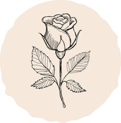 Rose Bud Outline – Minimal Botanical Vector