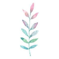 Watercolor Pastel Sprig Delicate Branch Botanical Illustration Floral Design Element Soft Colors