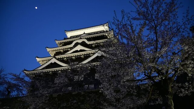 春の福山城の夜景  （広島県福山市, 2025年4月）