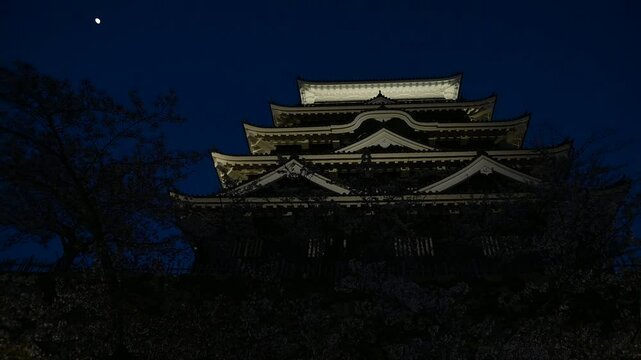 春の福山城の夜景  （広島県福山市, 2025年4月）