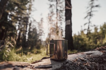 mug of hot drink on tree trunk in wild forest