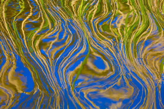 Abstract reflection of reeds on a lake