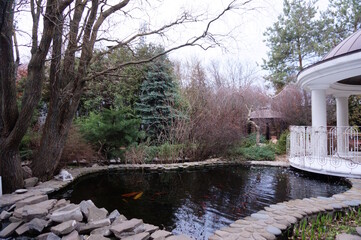 A pond with carp in a city park.
