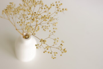Modern white ceramic vase with dry flowers on white backgroud.Copy space, Minimalist scandinavian interior accessories. 