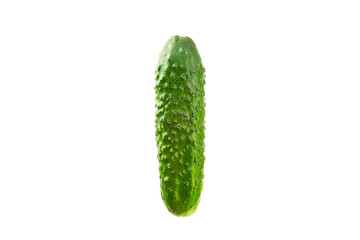 Cucumber isolated on white background. Slice of cucumber on white background. Fresh organic green cucumbers. Vegan. Ingredient for salad. Farm vegetables.